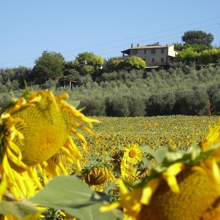 Agriturismo Oliveto Di Geltrude Contessa Apartman Amelia Kültér fotó