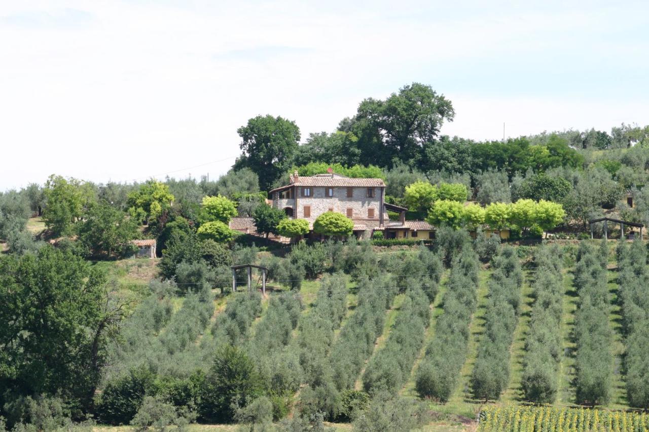 Agriturismo Oliveto Di Geltrude Contessa Apartman Amelia Kültér fotó